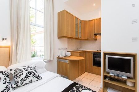 Studio Flat, Fulham Palace Road, W6 - Photo 5