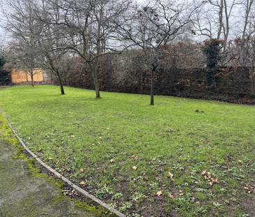 3 bedroom end of terrace house to rent - Photo 6