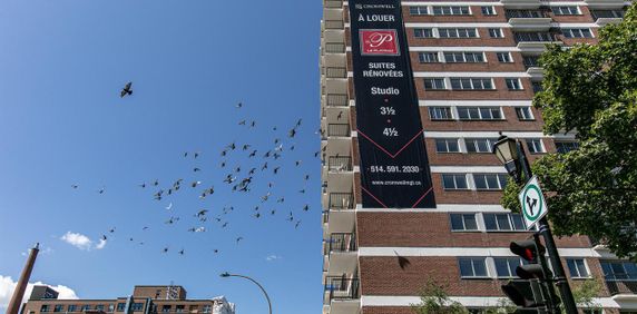 Le Plateau - 3605 St-Urbain - 1 Bedroom - 3605 Rue Saint-Urbain, Montréal - Photo 2