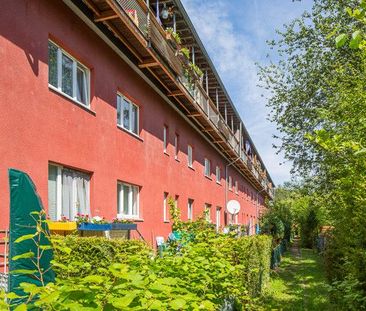 Im eigenen Garten etwas mit den Hummeln bummeln? - Foto 1