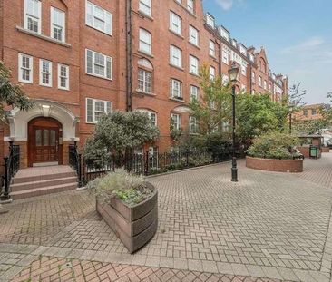 Page Street, Westminster, SW1P - Photo 5