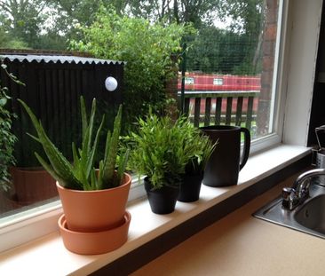 Room in a Shared House, Edwins Mead, E9 - Photo 4