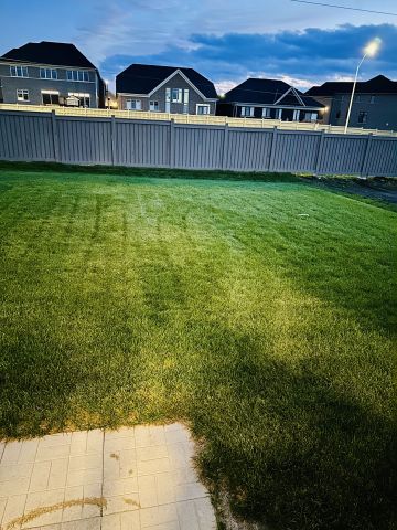 For Lease - 5 Bluebird Boulevard, Adjala-Tosorontio, Ontario - Photo 3