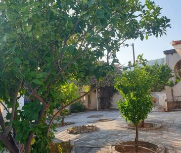 Μονοκατοικία για ενοικίαση Μαγούλα (Ερέτρια) - Photo 1