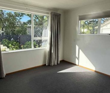 Sunny Family Home in Renwick - Photo 4