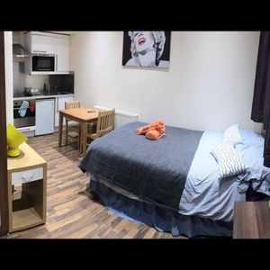 Studio Flat, Willesden Green, NW6 - Photo 2