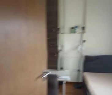 Whitehaven (D5), Apartment - For Rent - Photo 4