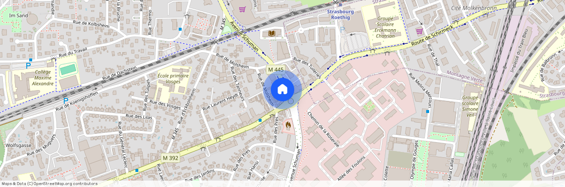 4 Avenue Schumann, 67380, Lingolsheim