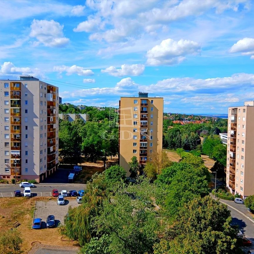 Kiadó átlagos állapotú panel lakás - Miskolc - Fotó 1