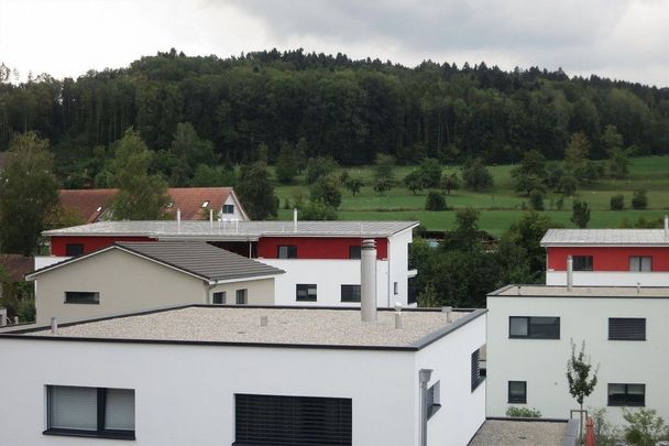 Beautiful 5.5-room apartment with large terrace for rent - Photo 1