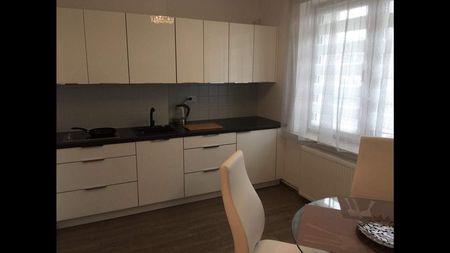 (Symbol 353913) MIESZKANIE na WYNAJEMSzczecin, Dąbie Duża, ładna kawalerka z balkonem - Zdjęcie 3