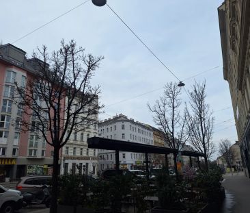 Superruhig und unbefristet - für Single oder Paar? - Photo 6