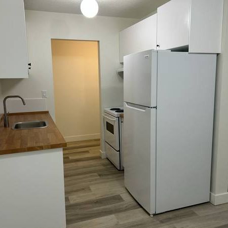 (DPMonline.ca) Updated One Bedroom at the Lexington - Photo 3