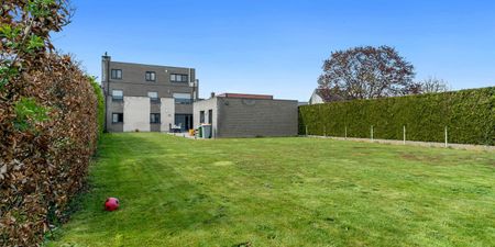 Appartement te huur in Mechelen-aan-de-Maas voor € 1.250 met 3 slaapkamers - Photo 3