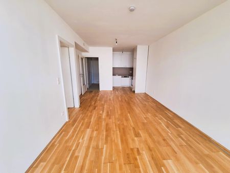 Provisionsfrei !!! 3- Zimmer - Neubau-Mietwohnung, Graz Lend - TOP 203 - Photo 3