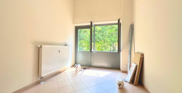 gz-i.de: Erstbezug! -2 Monate mietfrei -citynahe 2 -Zimmer- Loft mit separaten Eingang und Terrasse - Photo 1