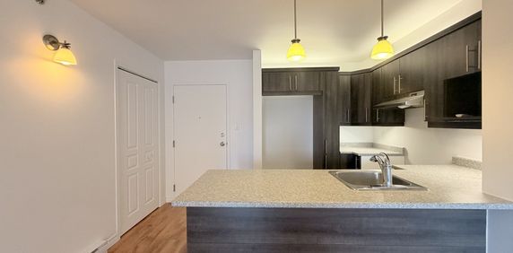 3½ à Louer Lévis - 2 Mois Gratuits! - Photo 2