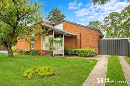 Fresh Carpet & Paint - Photo 5