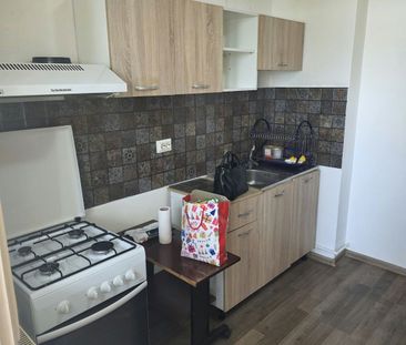 Ofer spre închiriere apartament cu 3 camere,etaj 3,Robea - Photo 4