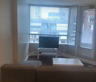 FURNISHED DOWNTOWN STUDIO - Photo 3