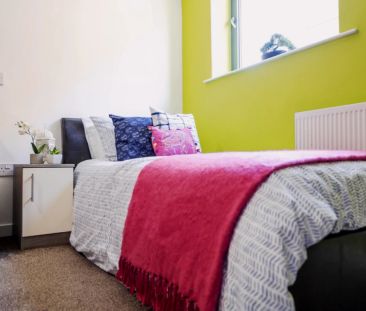 Classic Studio - Photo 2