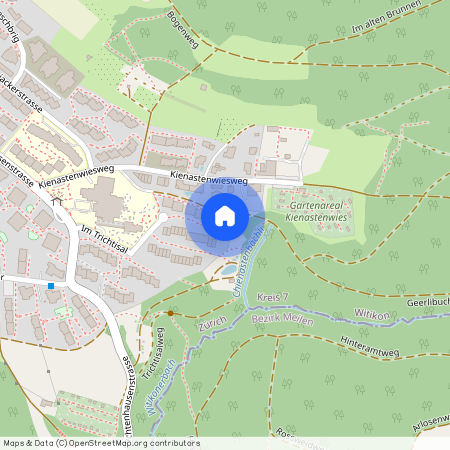 Im Trichtisal 11a, 8053 Zürich, Lageplan