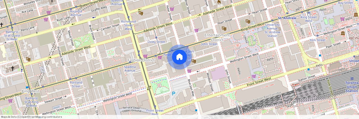 88 Blue Jays Way, Toronto