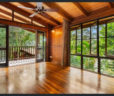 LIVE IN THE RAINFOREST!!!! - Photo 3