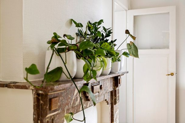 Lauwestraat 135 , 8560 Wevelgem - Photo 1