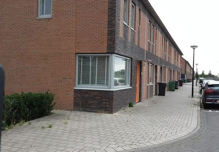 Boomvalk 19 - Photo 3