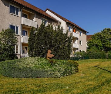 Schöne 3-Zimmer-Wohnung in zentraler Lage // 2.OG links - Foto 5