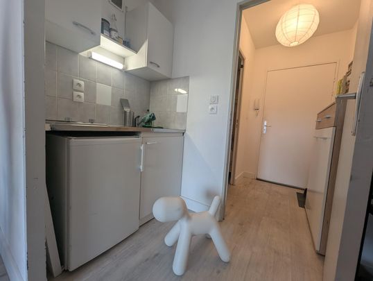 Location Appartement 1 pièce 21m² AUBIERE 63170 - Photo 1