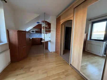 PRONÁJEM BYTU 1+KK/1+1 S BALKONEM A SKLEPEM, STŘELICE U BRNA - Fotografie 2