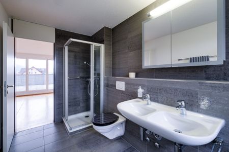 For sunny moments – Large roof terrace in the heart of Egerkingen - Foto 5