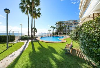 Cap-negret, Altea, Valencian Community 03590