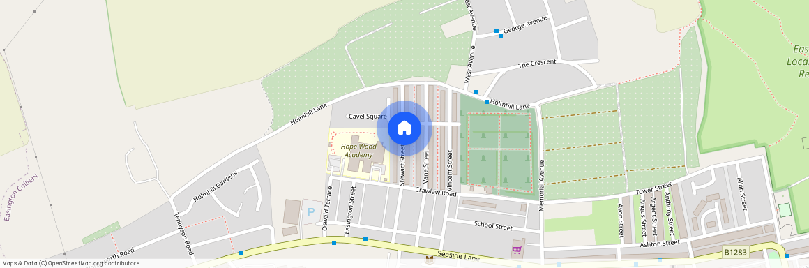 Hawthorn Street, Easingotn Colliery