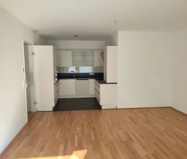 Geräumig, modern ung toll gelegen - Photo 3