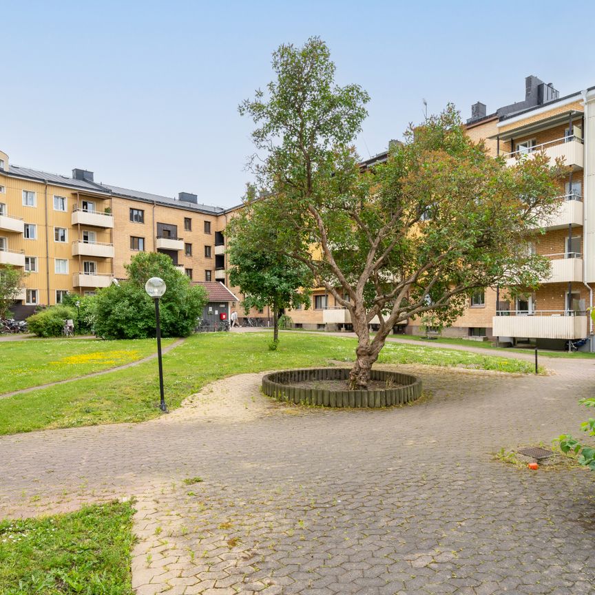 Rådmansgatan 3 - Photo 2