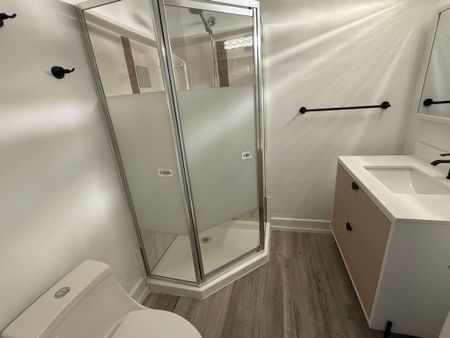 For Lease - 60 Lund Street Unit# Basement, Richmond Hill, Ontario - Photo 5