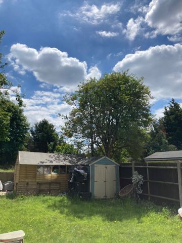 Room in a Shared Flat, Inchmery Rd, SE6 - Photo 4