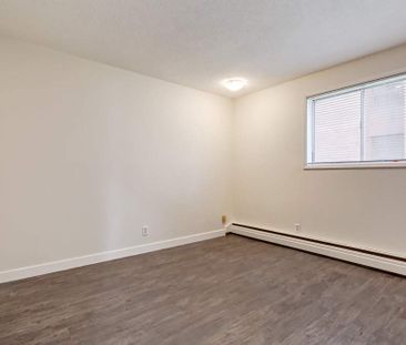 Renovated Suite - 2 Bedroom - Photo 2