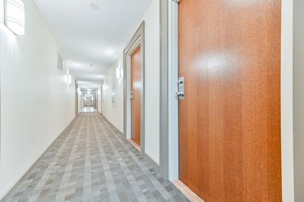 For Lease - 215 Queen Street Unit# 709, Brampton, Ontario - Photo 1