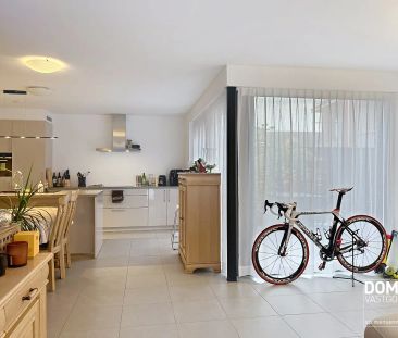 Smalstraat 7 / 1, 3730 Hoeselt - Photo 2