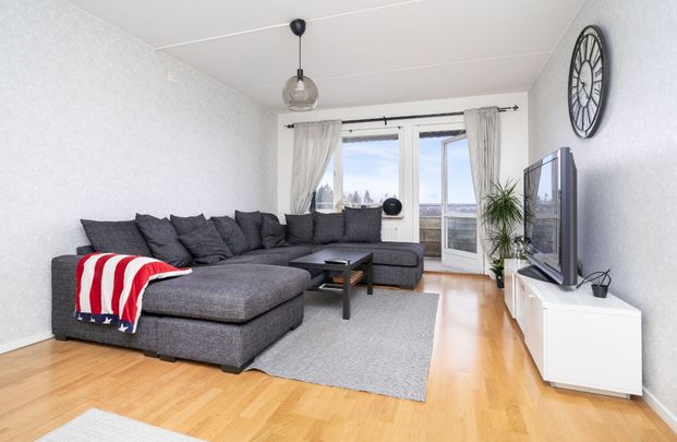 Dackevägen, Järfälla - Foto 1