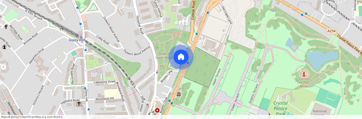 SPINNEY GARDENS, LONDON, SE19 1LL