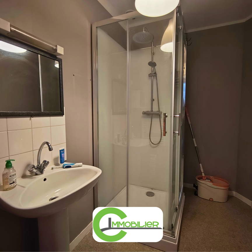 Location Appartement 1 pièce 56m² VIBRAYE 72320 - Photo 1