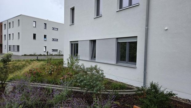 ERSTBEZUG! Traumhafte 3 ZiWo auf der Sonneninsel Usedom - Photo 1