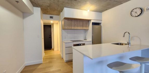 New studio downtown with electricity included - Photo 2