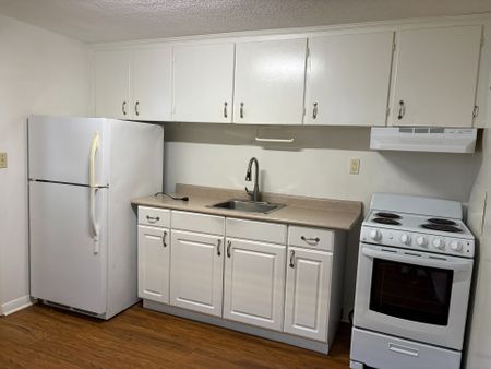 For Lease - 4 Ailsa Craig Court Unit# Basement, Toronto, Ontario - Photo 3