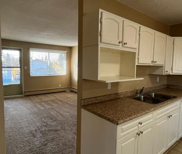 2 Bedroom Unit in West Park!! - Photo 3